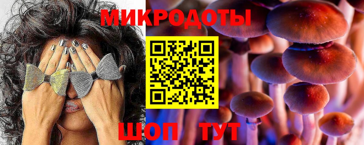 Заинск  Галлюциногенные грибы Psilocybe  Вход с VPN 