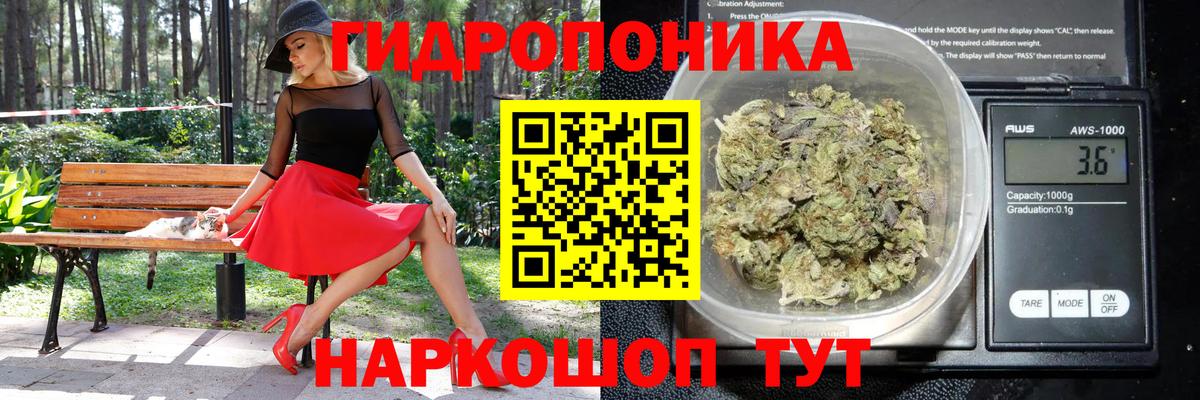Заинск  Шишки марихуана сатива  Бошки марихуана конопля  Вход с VPN  Бошки Шишки White Widow 